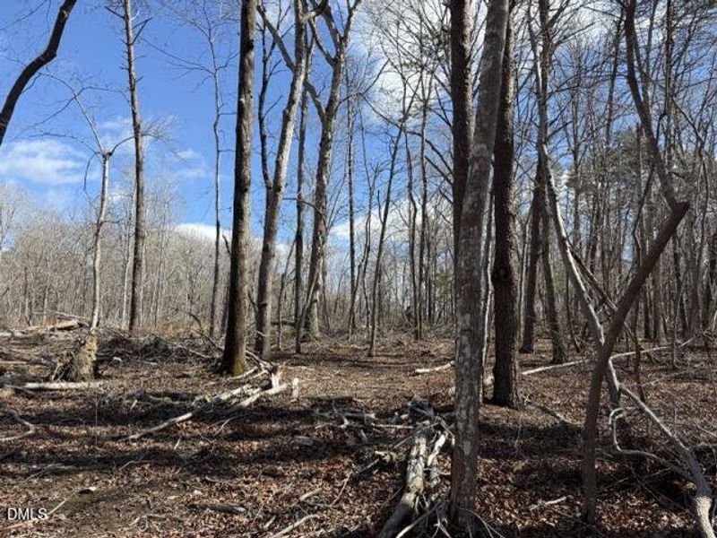 IMG_3233 Medium IMG_3233 Medium