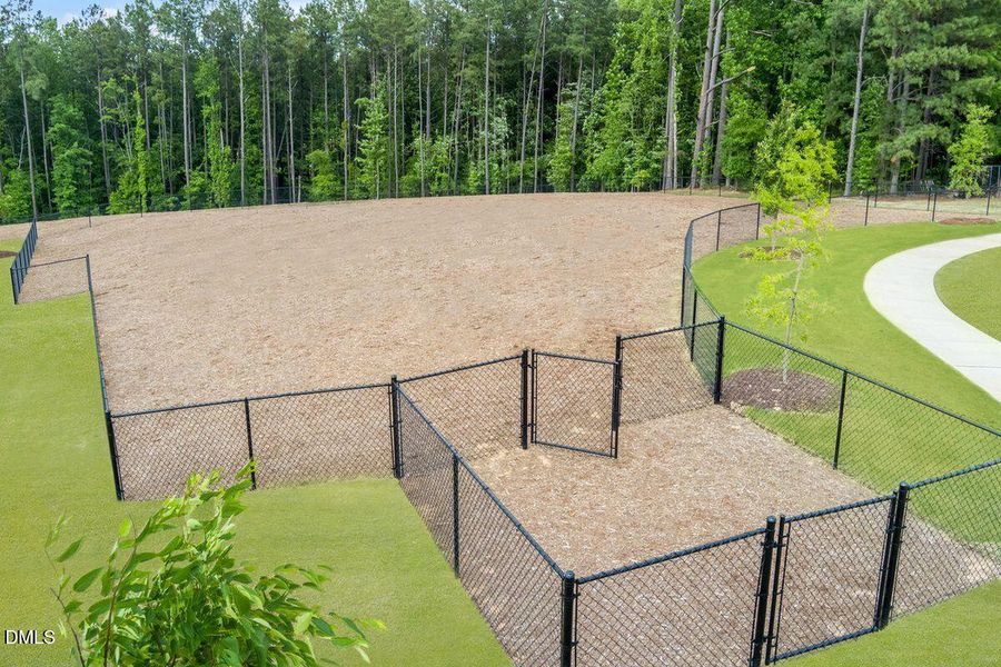 KBRAL_Brooks_Mill_Dog_Park_0060 KBRAL_Brooks_Mill_Dog_Park_0060