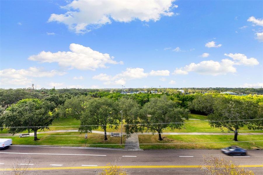 Natural landscape and outdoor views near in St. Petersburg (Image 43). Natural landscape and outdoor views near in St. Petersburg (Image 43).