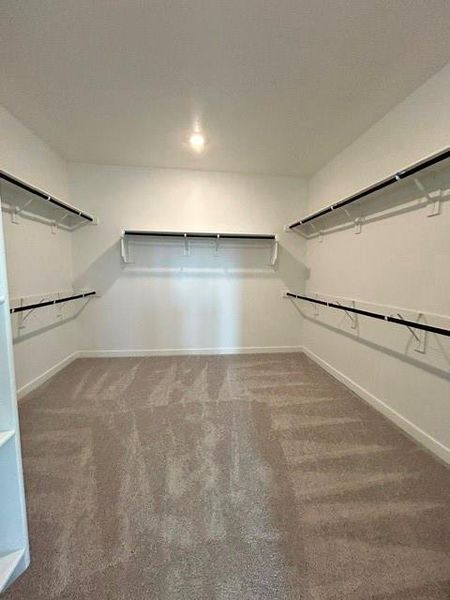 Spacious walk-in closet featuring light-toned carpeting, white walls, and built-in wire shelving with hanging rods Spacious walk-in closet featuring light-toned carpeting, white walls, and built-in wire shelving with hanging rods