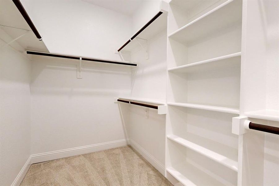 Main Walk in closet featuring light colored carpet