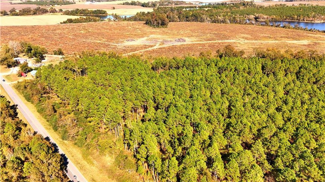 Natural landscape and outdoor views near  in Chester (Image 3).