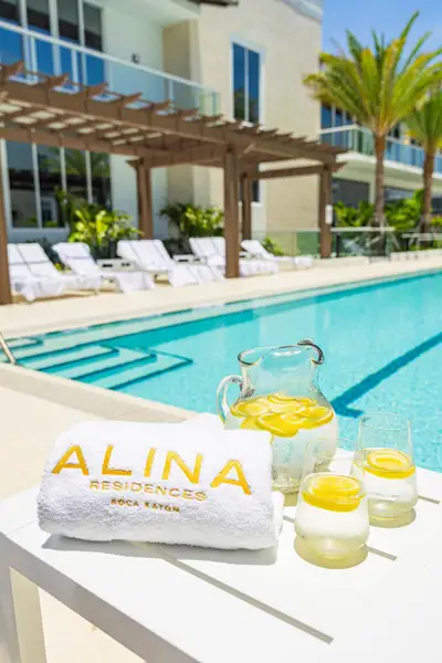 Alina 220 Pool Detail Alina 220 Pool Detail