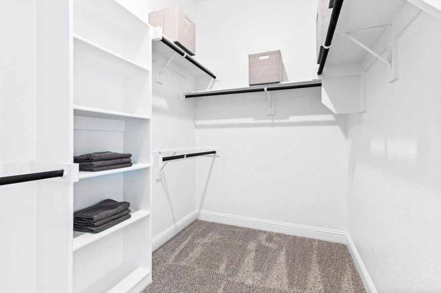 Hawthorn II Representative Image Hawthorn II Representative Image