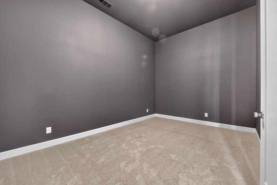 Entertainment Room