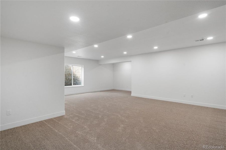 basement flex/family room