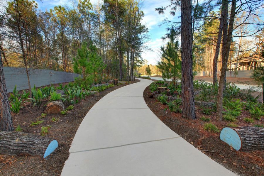 One of the many scenic walking trails in the master-planned community of ARTAVIA in Conroe, Texas. These extensive trails are a key amenity designed to enhance the natural wooded environment of the area. One of the many scenic walking trails in the master-planned community of ARTAVIA in Conroe, Texas. These extensive trails are a key amenity designed to enhance the natural wooded environment of the area.