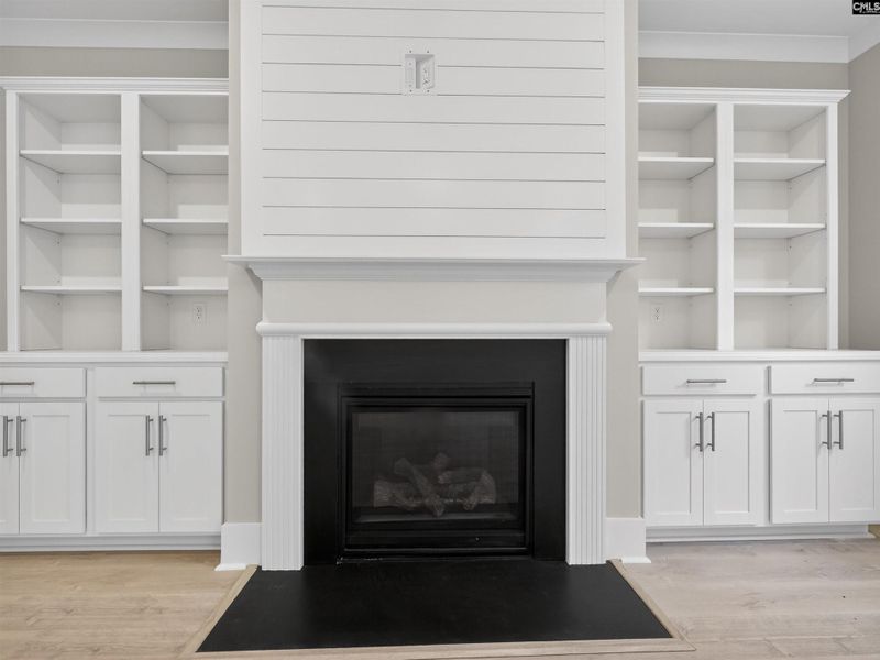 Furnished interior view inside a new home in Collins Cove, Chapin (Image 15).