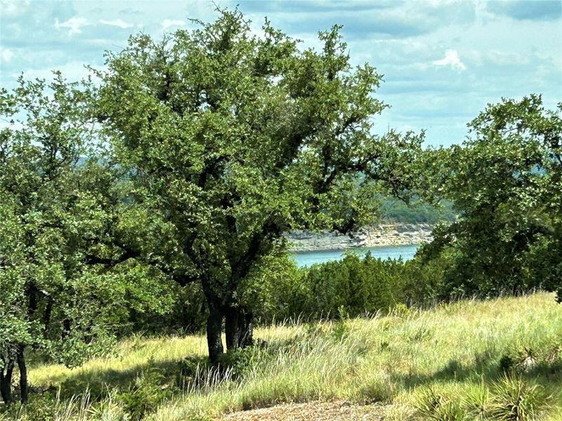 View of Lake