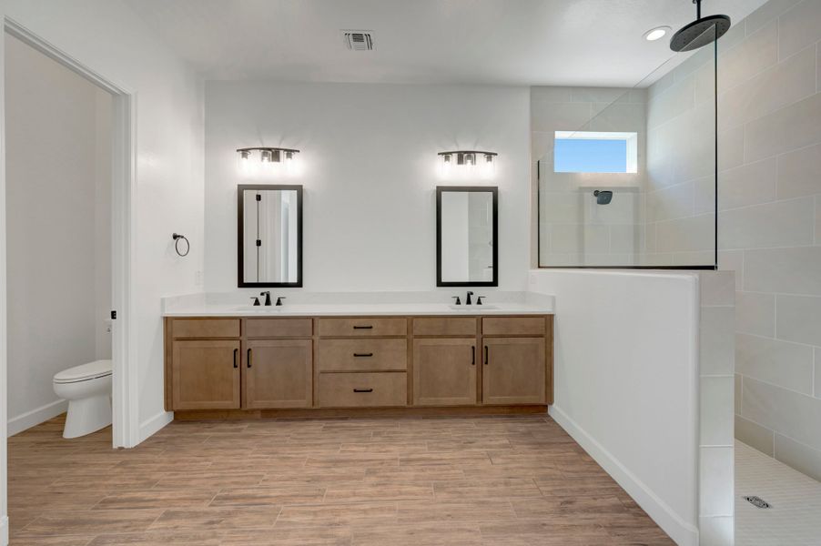 Owner's Bath