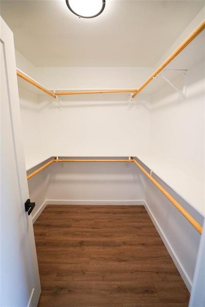 Spacious closet featuring wood finished floors