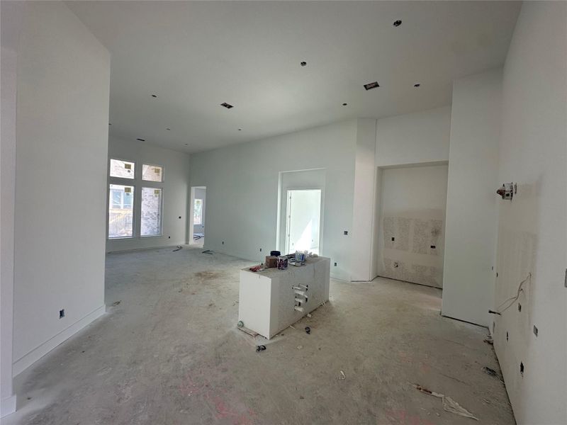 Light & Bright Open Concept Kitchen