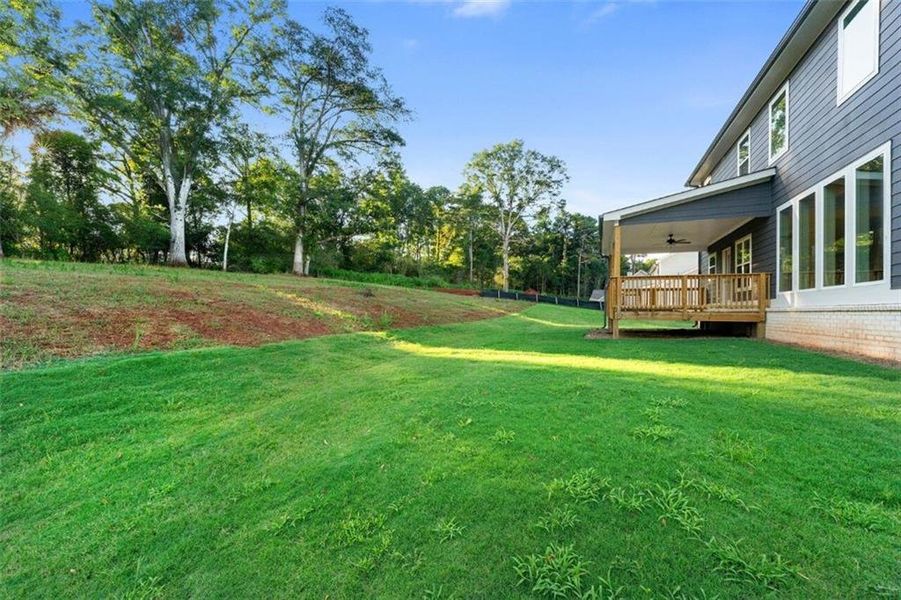 Exterior details and patio area of a home in Steeplechase, Hoschton (Image 26).