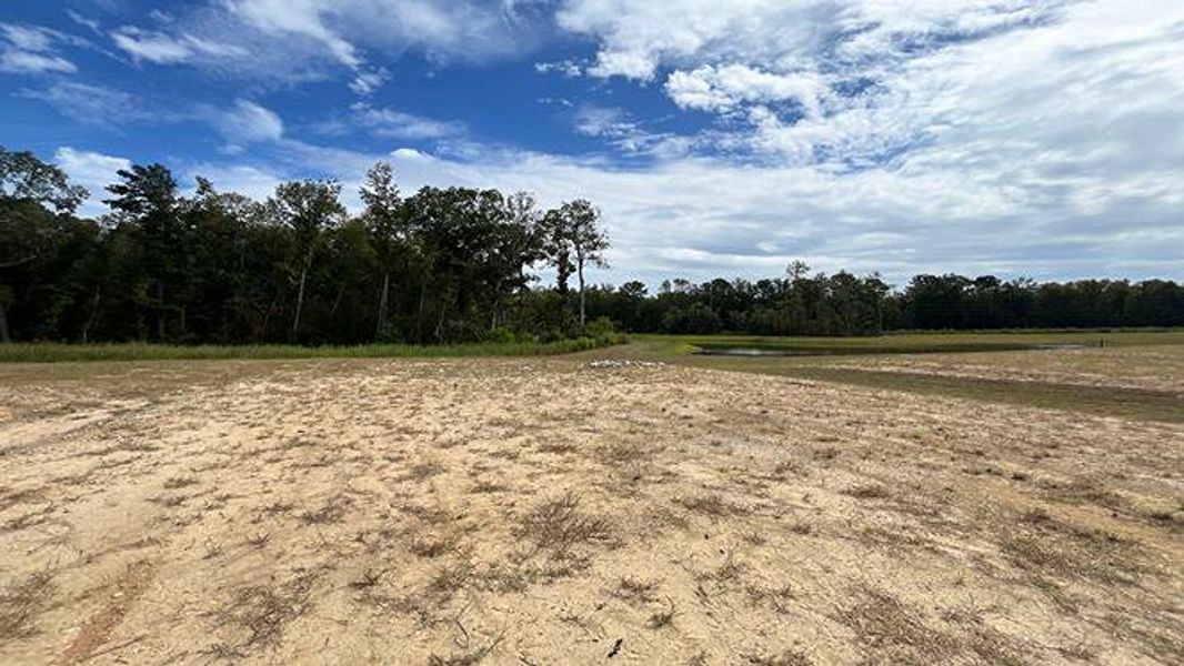 Site preparation for new homesites in Carolina Groves, Moncks Corner (Image 40).