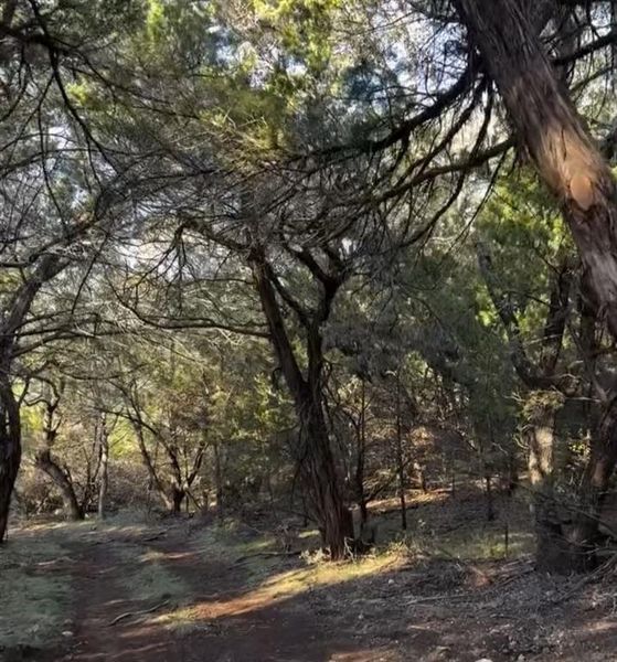 Natural landscape and outdoor views near  in Breckenridge (Image 25).