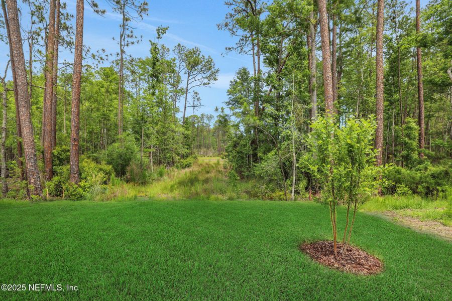 Natural landscape and outdoor views near  in St. Augustine (Image 55).