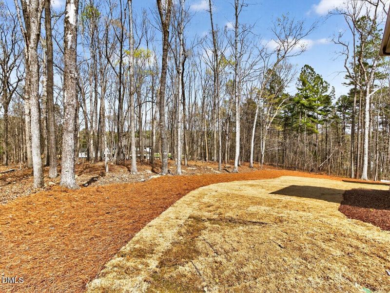 073-1280x960-backyard