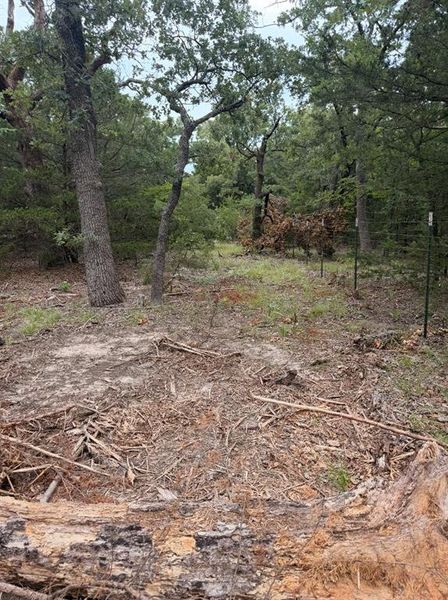 Enjoy the peace, quiet, and privacy on this beautiful North Texas lot!
