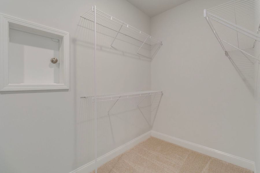 Walk-in Closet with laundry door