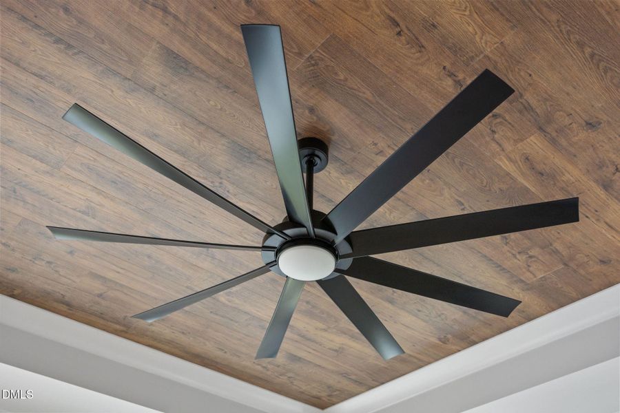 32-web-or-mls-IMG_4626