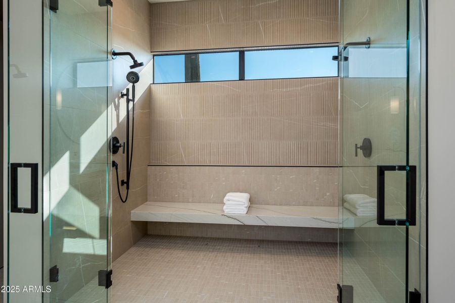 Primary shower Primary shower