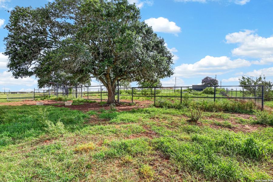 Natural landscape and outdoor views near  in Floresville (Image 26).