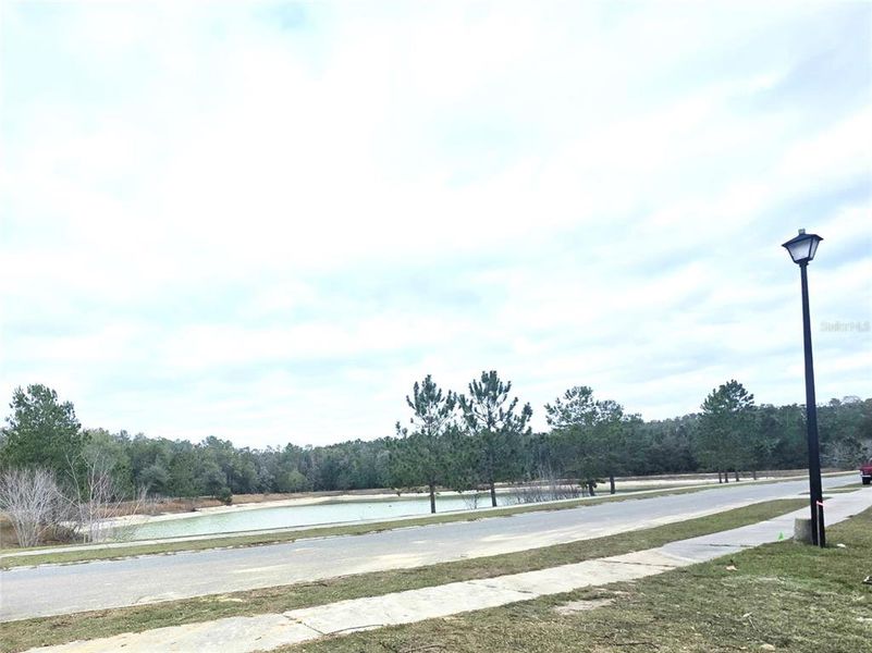 Natural landscape and outdoor views near The Preserve at Laurel Lake in Lake City (Image 18).