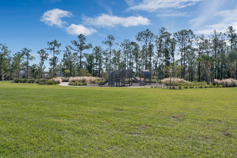 Natural landscape and outdoor views near Harvest at Ovation - Townhomes in Winter Garden (Image 46).