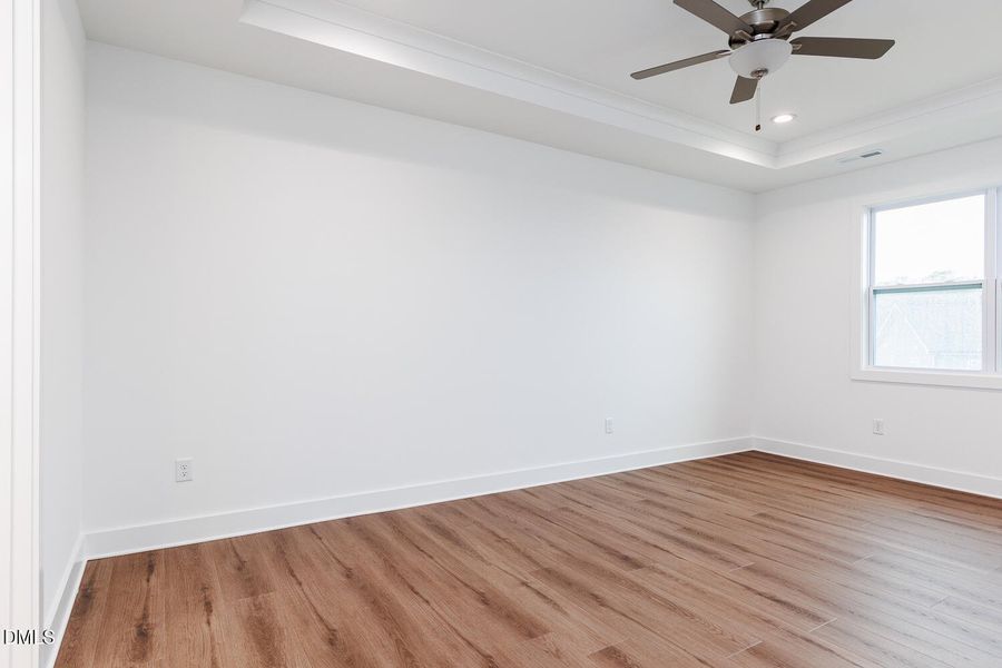 Tray Ceiling in Owners