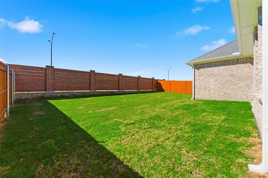 View of fenced backyard