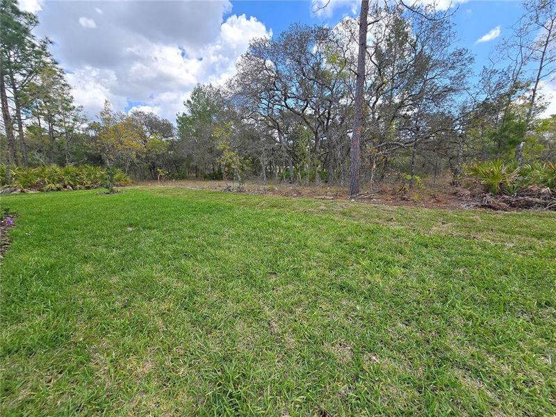 Natural landscape and outdoor views near  in Homosassa (Image 83).