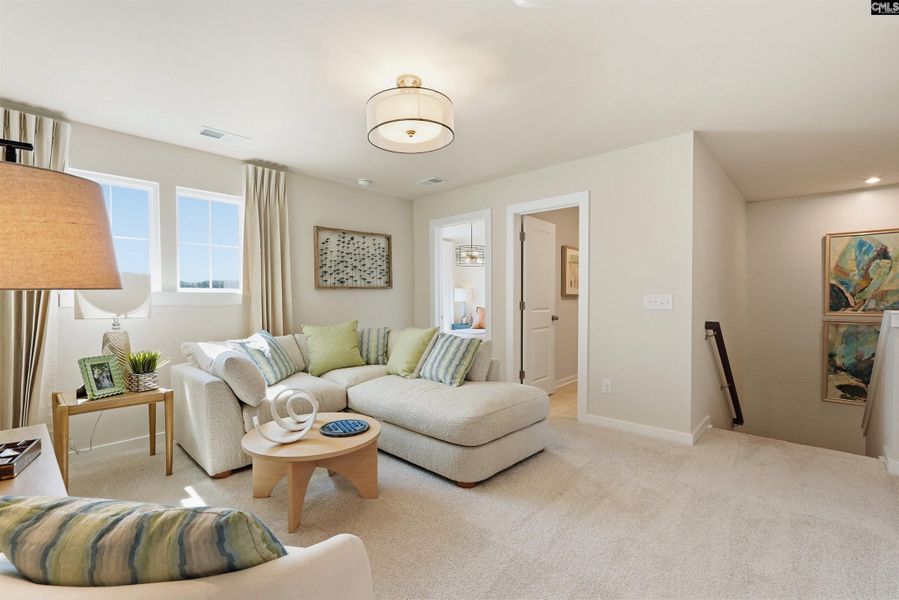 Furnished interior view inside a new home in Boykin Hills, Chapin (Image 22).