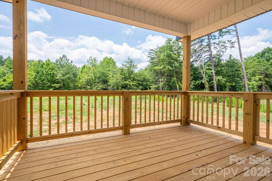 Rear Deck & Yard
