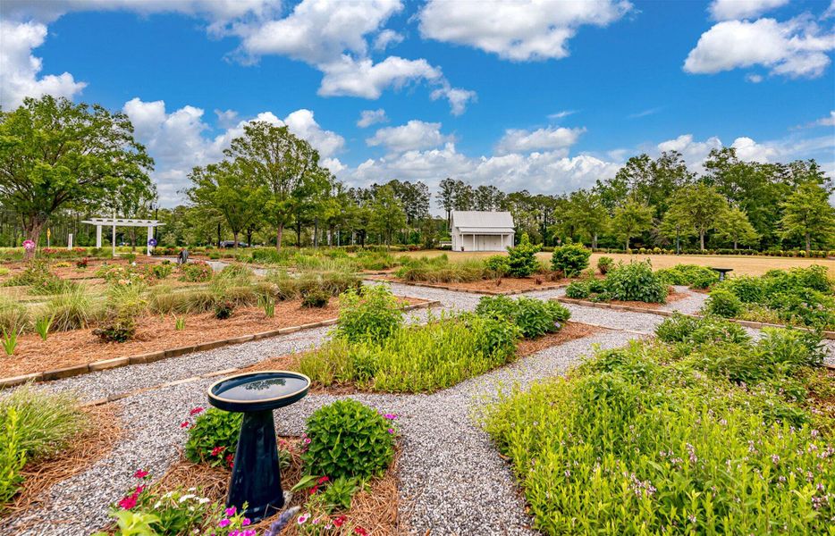 Natural landscape and outdoor views near Sweetgrass at Summers Corner in Summerville (Image 62).