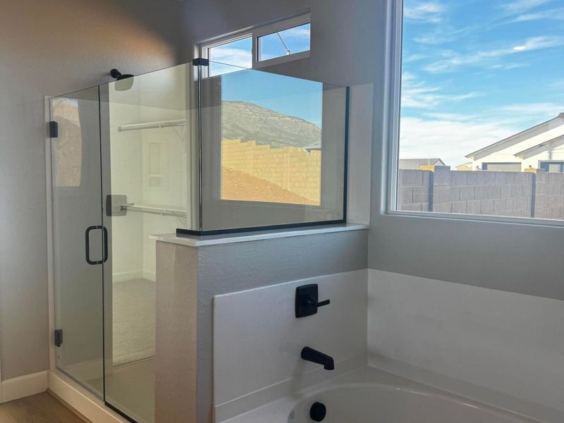 Image 24 of a home in Morningstar.