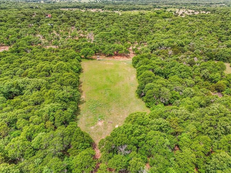Expansive acreage featuring substantial tree coverage and a central open pasture