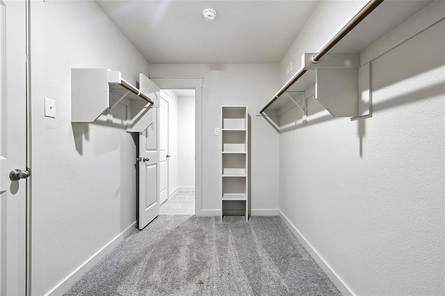 Walk in closet featuring light colored carpet