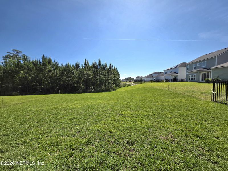 Natural landscape and outdoor views near Hyland Trail in Green Cove Springs (Image 30).