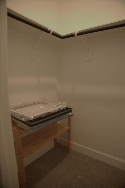 Walk in closet featuring dark colored carpet Walk in closet featuring dark colored carpet