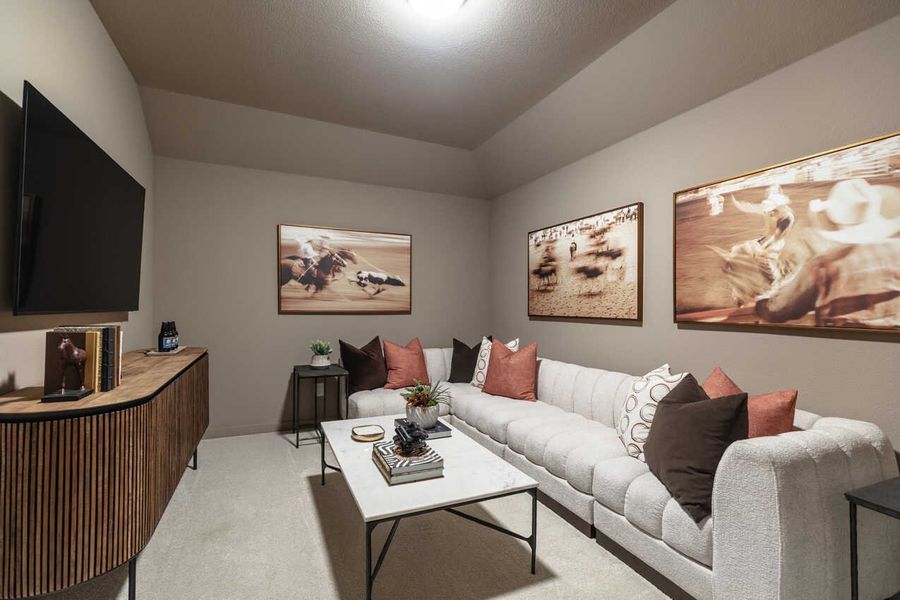 Entertainment Room