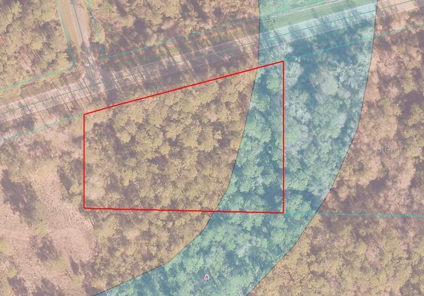 Site preparation for new homesites in , Citra (Image 15).