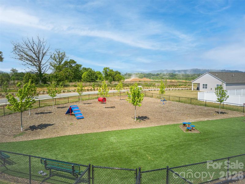 Community Dog Park
