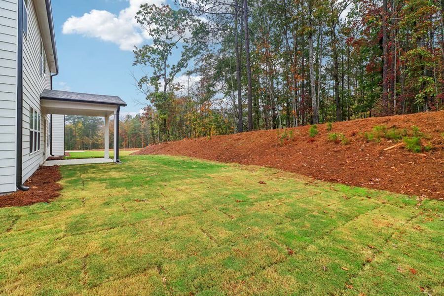 Rear Covered Patio