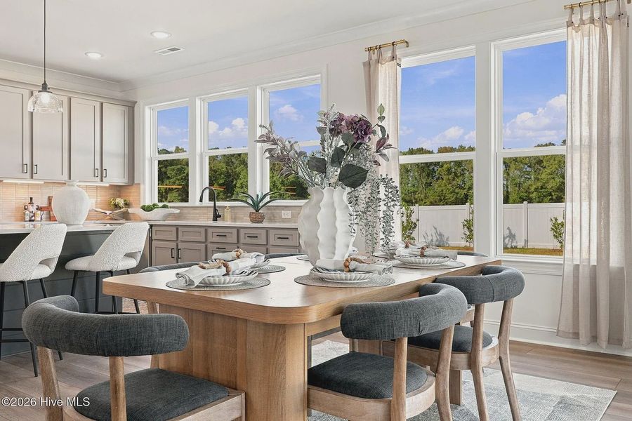 Furnished interior view inside a new home in Dixon Grove, Grimesland (Image 35).