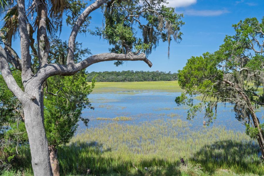 Natural landscape and outdoor views near in Edisto Island (Image 67). Natural landscape and outdoor views near in Edisto Island (Image 67).