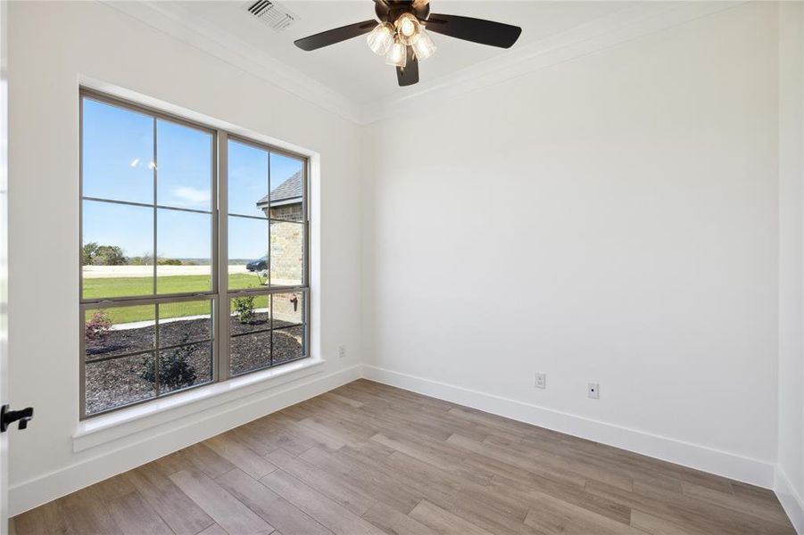 Unfurnished room with crown molding, light hardwood / wood-style flooring, and ceiling fan