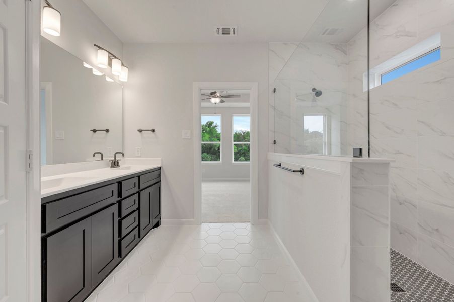 Owner's Bath