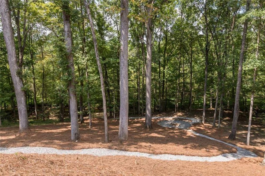 Natural landscape and outdoor views near in Alpharetta (Image 73). Natural landscape and outdoor views near in Alpharetta (Image 73).