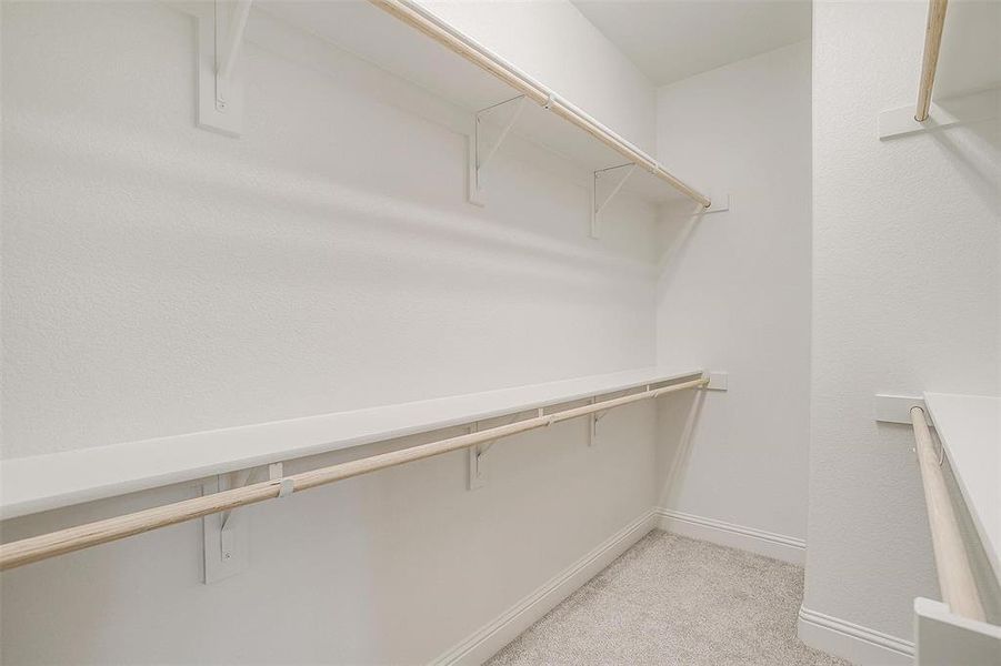 Walk in closet with light colored carpet