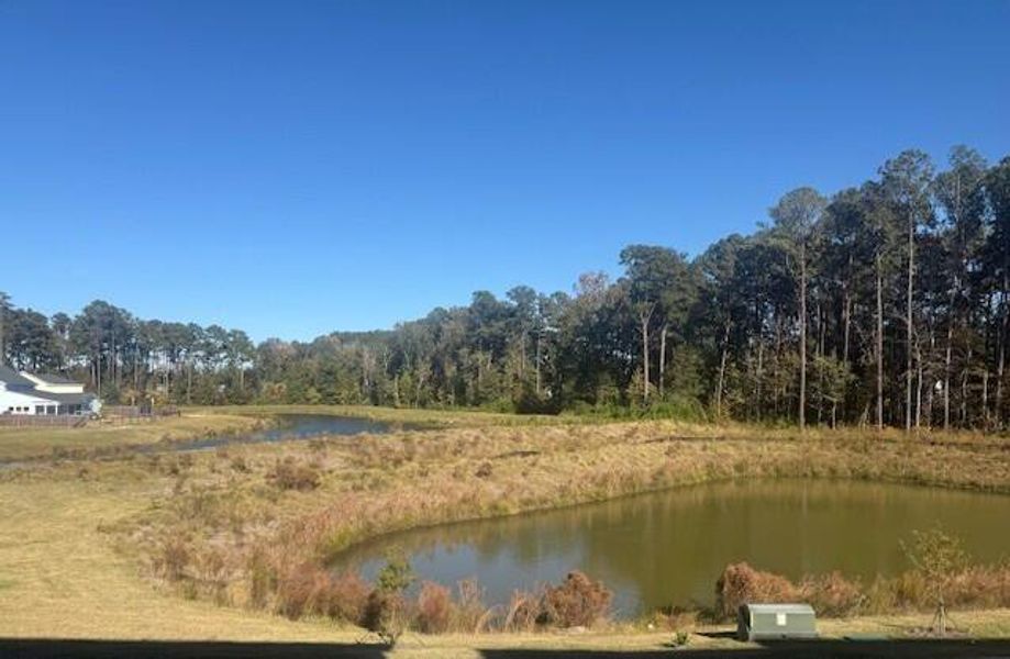 Natural landscape and outdoor views near Nexton in Summerville (Image 68).